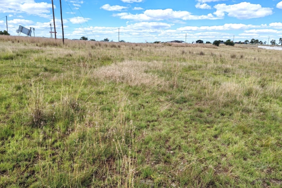 0 Bedroom Property for Sale in Oranjeville Free State